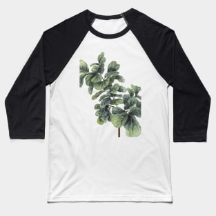 Fiddle Leaf Fig Tree Baseball T-Shirt